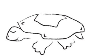 Иллюстрация к книге — Йога для детей. 100 лучших упражнений для укрепления здоровья [Autogen_eBook_id163.jpg]