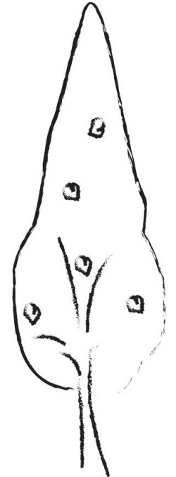 Иллюстрация к книге — Йога для детей. 100 лучших упражнений для укрепления здоровья [Autogen_eBook_id7.jpg]