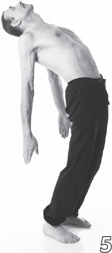 Иллюстрация к книге — Острое зрение – острый ум! Уникальные восточные методики улучшения зрения и развития мозга [_16.jpg]