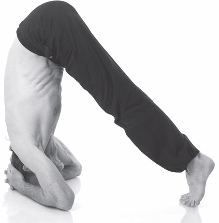 Иллюстрация к книге — Острое зрение – острый ум! Уникальные восточные методики улучшения зрения и развития мозга [_35.jpg]