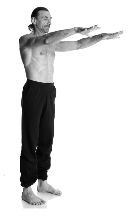 Иллюстрация к книге — Йога. Лучшие упражнения для каждого лунного дня. Сила Луны для здоровья и удачи [i_006.jpg]