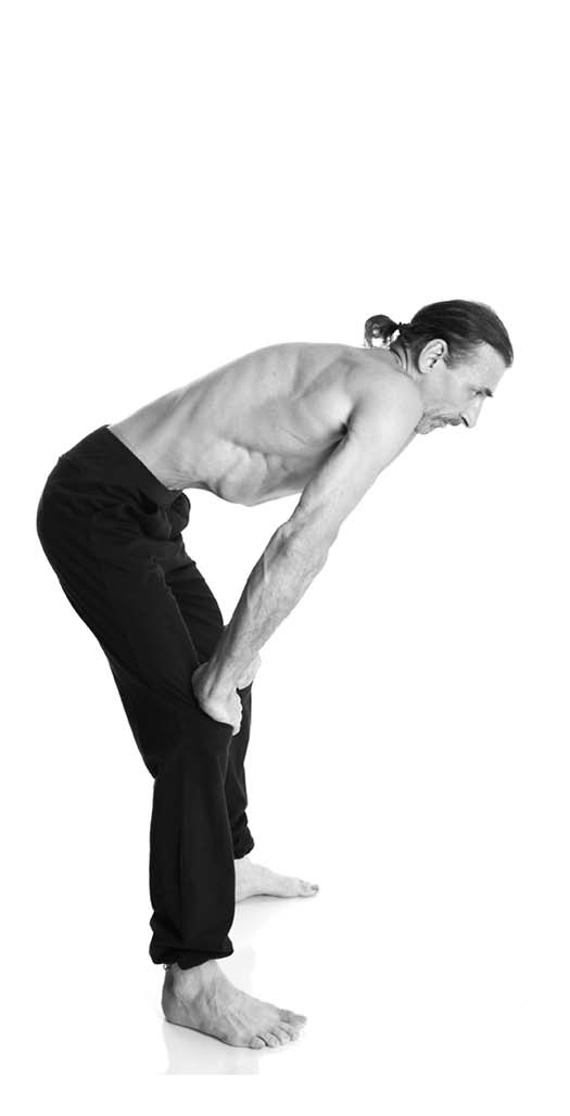 Иллюстрация к книге — Йога. Лучшие упражнения для каждого лунного дня. Сила Луны для здоровья и удачи [i_018.jpg]