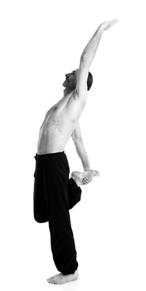 Иллюстрация к книге — Йога. Лучшие упражнения для каждого лунного дня. Сила Луны для здоровья и удачи [i_027.jpg]