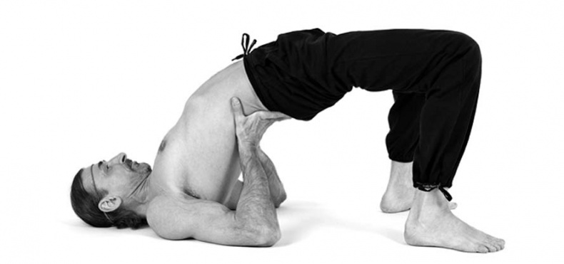 Иллюстрация к книге — Йога. Лучшие упражнения для каждого лунного дня. Сила Луны для здоровья и удачи [i_034.jpg]