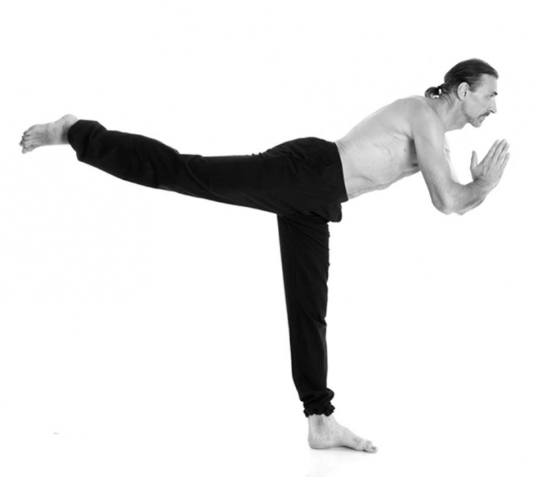 Иллюстрация к книге — Йога. Лучшие упражнения для каждого лунного дня. Сила Луны для здоровья и удачи [i_042.jpg]