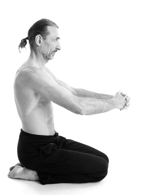 Иллюстрация к книге — Йога. Лучшие упражнения для каждого лунного дня. Сила Луны для здоровья и удачи [i_044.jpg]