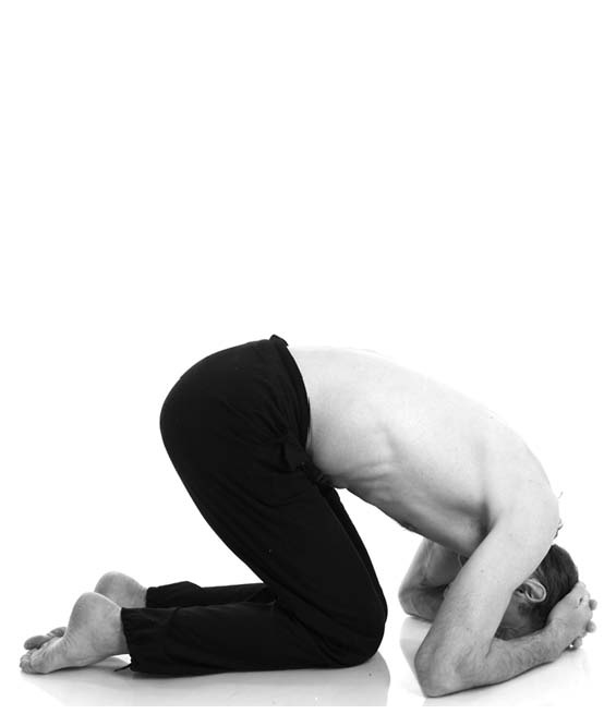 Иллюстрация к книге — Йога. Лучшие упражнения для каждого лунного дня. Сила Луны для здоровья и удачи [i_045.jpg]