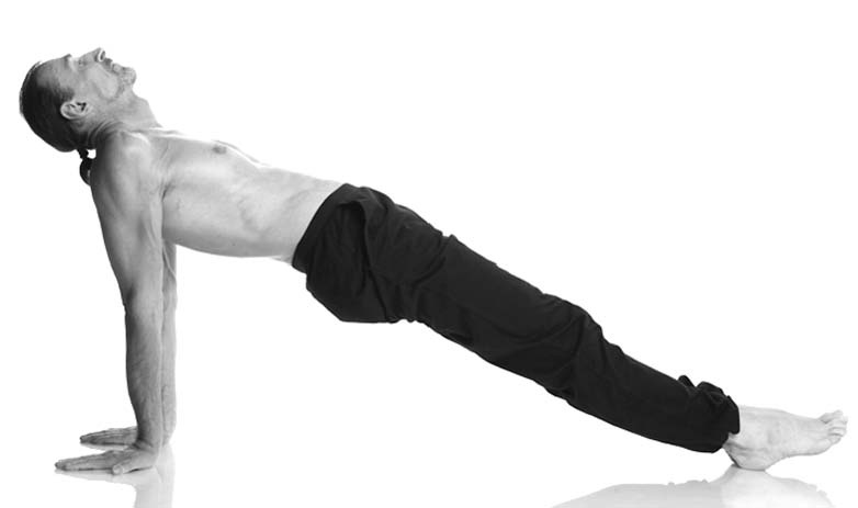 Иллюстрация к книге — Йога. Лучшие упражнения для каждого лунного дня. Сила Луны для здоровья и удачи [i_049.jpg]