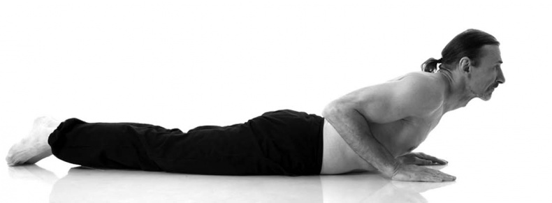 Иллюстрация к книге — Йога. Лучшие упражнения для каждого лунного дня. Сила Луны для здоровья и удачи [i_052.jpg]