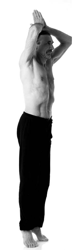 Иллюстрация к книге — Йога. Лучшие упражнения для каждого лунного дня. Сила Луны для здоровья и удачи [i_064.jpg]