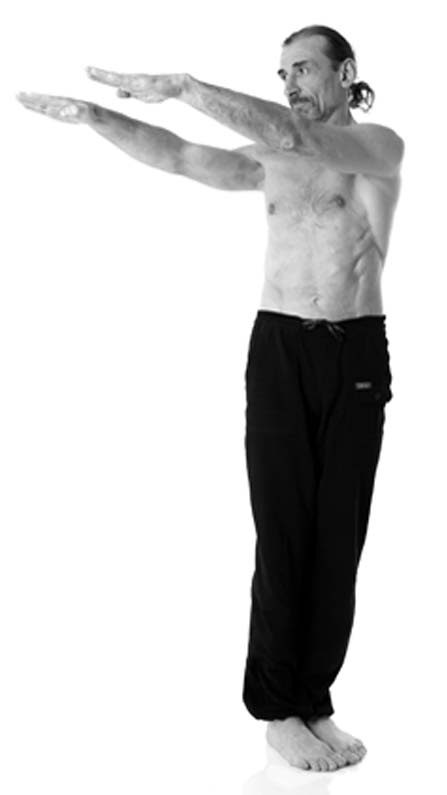 Иллюстрация к книге — Йога. Лучшие упражнения для каждого лунного дня. Сила Луны для здоровья и удачи [i_106.jpg]