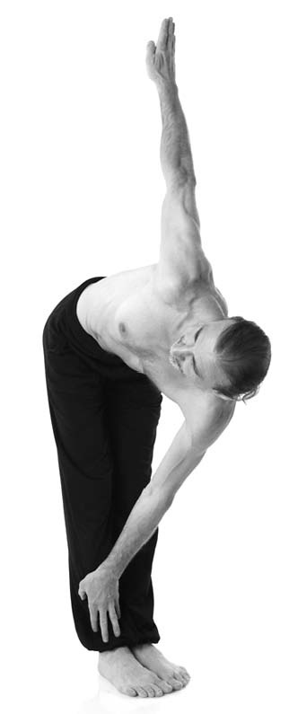 Иллюстрация к книге — Йога. Лучшие упражнения для каждого лунного дня. Сила Луны для здоровья и удачи [i_108.jpg]