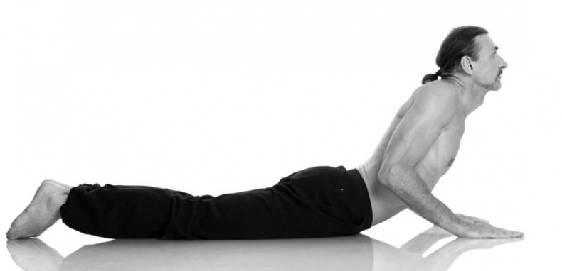 Иллюстрация к книге — Йога. Лучшие упражнения для каждого лунного дня. Сила Луны для здоровья и удачи [i_116.jpg]