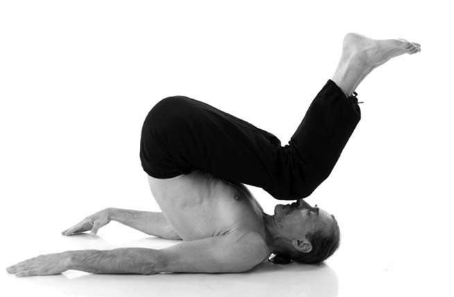 Иллюстрация к книге — Йога. Лучшие упражнения для каждого лунного дня. Сила Луны для здоровья и удачи [i_131.jpg]