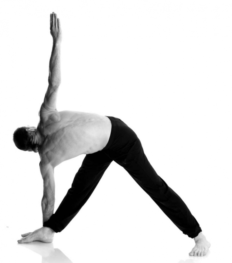 Иллюстрация к книге — Йога. Лучшие упражнения для каждого лунного дня. Сила Луны для здоровья и удачи [i_134.jpg]