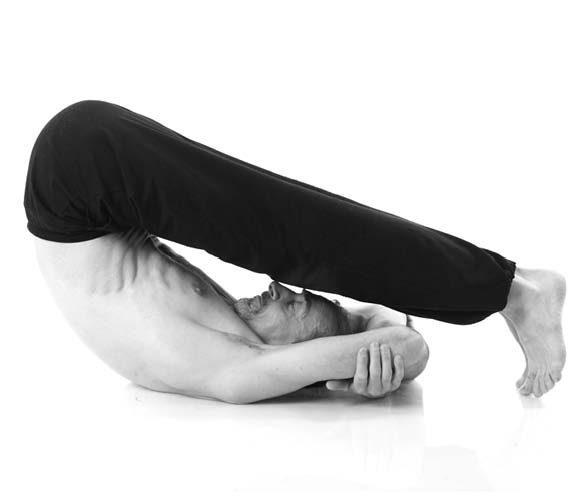 Иллюстрация к книге — Йога. Лучшие упражнения для каждого лунного дня. Сила Луны для здоровья и удачи [i_148.jpg]