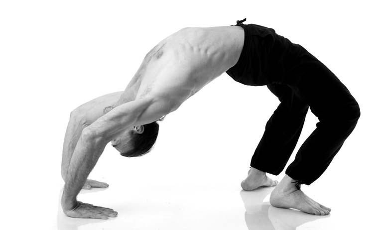 Иллюстрация к книге — Йога. Лучшие упражнения для каждого лунного дня. Сила Луны для здоровья и удачи [i_168.jpg]