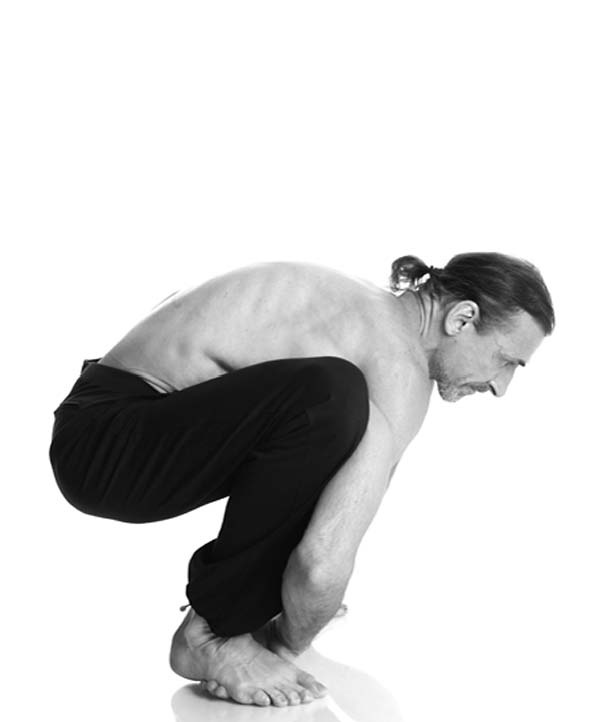 Иллюстрация к книге — Йога. Лучшие упражнения для каждого лунного дня. Сила Луны для здоровья и удачи [i_169.jpg]