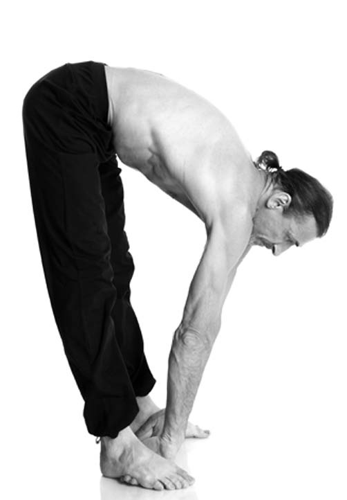 Иллюстрация к книге — Йога. Лучшие упражнения для каждого лунного дня. Сила Луны для здоровья и удачи [i_170.jpg]