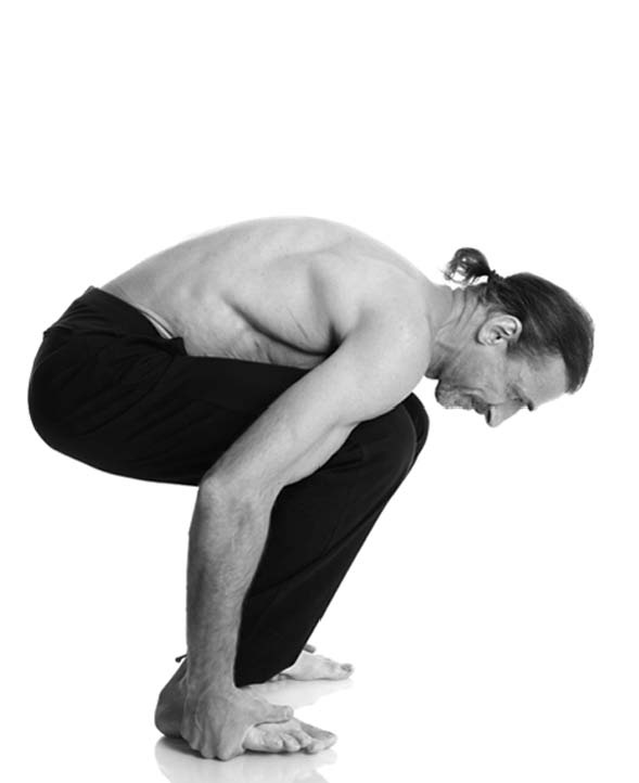 Иллюстрация к книге — Йога. Лучшие упражнения для каждого лунного дня. Сила Луны для здоровья и удачи [i_171.jpg]