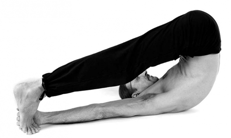 Иллюстрация к книге — Йога. Лучшие упражнения для каждого лунного дня. Сила Луны для здоровья и удачи [i_178.jpg]