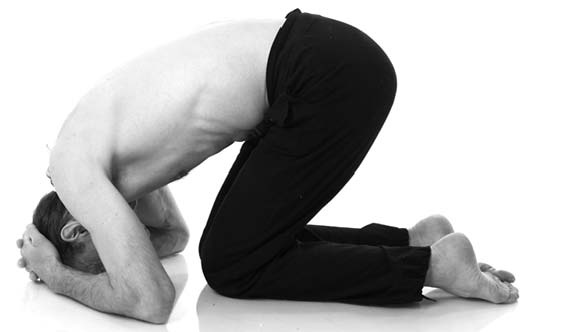 Иллюстрация к книге — Йога. Лучшие упражнения для каждого лунного дня. Сила Луны для здоровья и удачи [i_187.jpg]