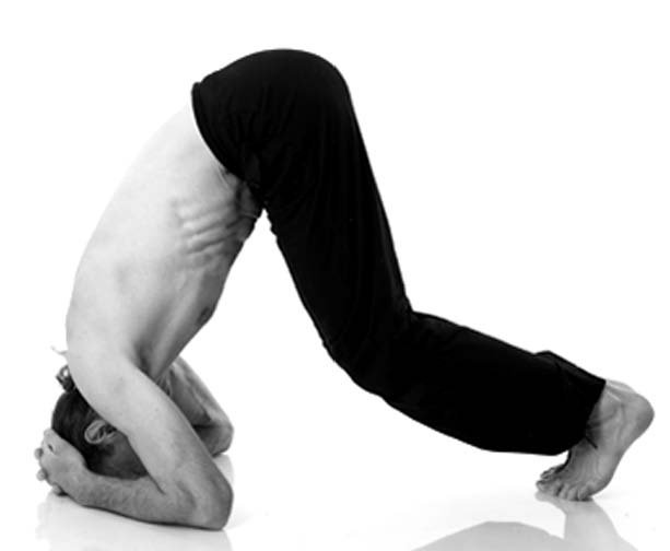 Иллюстрация к книге — Йога. Лучшие упражнения для каждого лунного дня. Сила Луны для здоровья и удачи [i_189.jpg]