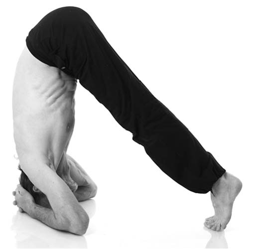 Иллюстрация к книге — Йога. Лучшие упражнения для каждого лунного дня. Сила Луны для здоровья и удачи [i_208.jpg]