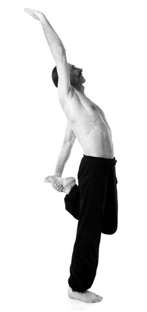 Иллюстрация к книге — Йога. Лучшие упражнения для каждого лунного дня. Сила Луны для здоровья и удачи [i_212.jpg]