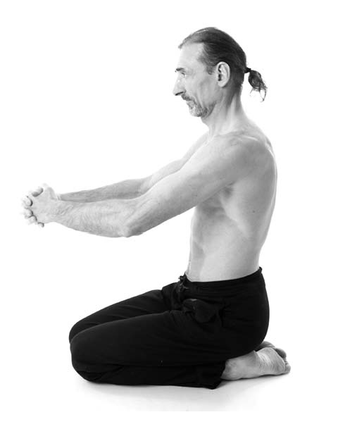 Иллюстрация к книге — Йога. Лучшие упражнения для каждого лунного дня. Сила Луны для здоровья и удачи [i_266.jpg]