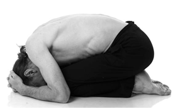 Иллюстрация к книге — Йога. Лучшие упражнения для каждого лунного дня. Сила Луны для здоровья и удачи [i_270.jpg]