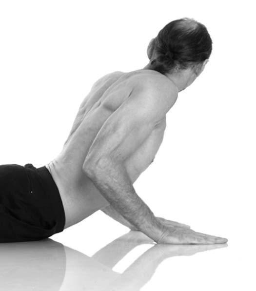 Иллюстрация к книге — Йога. Лучшие упражнения для каждого лунного дня. Сила Луны для здоровья и удачи [i_285.jpg]