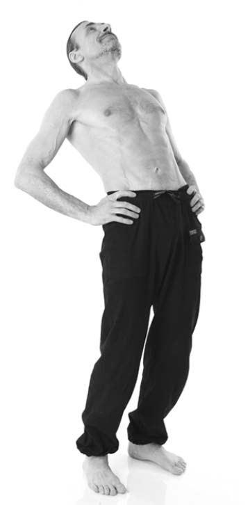 Иллюстрация к книге — Йога. Лучшие упражнения для каждого лунного дня. Сила Луны для здоровья и удачи [i_301.jpg]