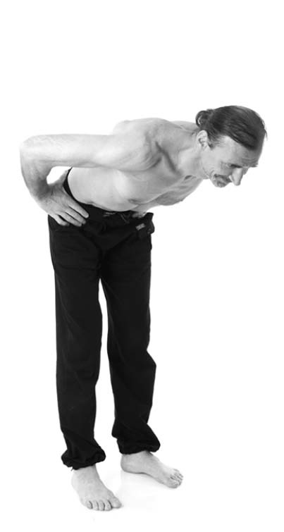 Иллюстрация к книге — Йога. Лучшие упражнения для каждого лунного дня. Сила Луны для здоровья и удачи [i_303.jpg]