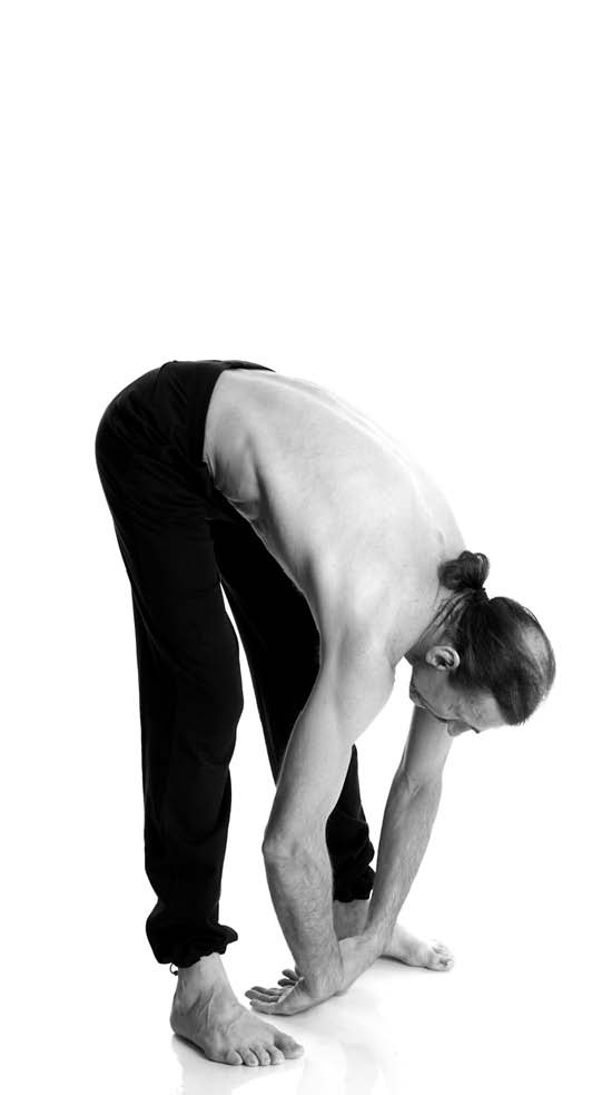 Иллюстрация к книге — Йога. Лучшие упражнения для каждого лунного дня. Сила Луны для здоровья и удачи [i_309.jpg]