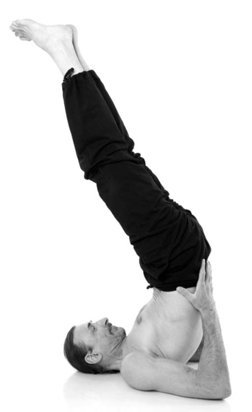 Иллюстрация к книге — Йога. Лучшие упражнения для каждого лунного дня. Сила Луны для здоровья и удачи [i_314.jpg]