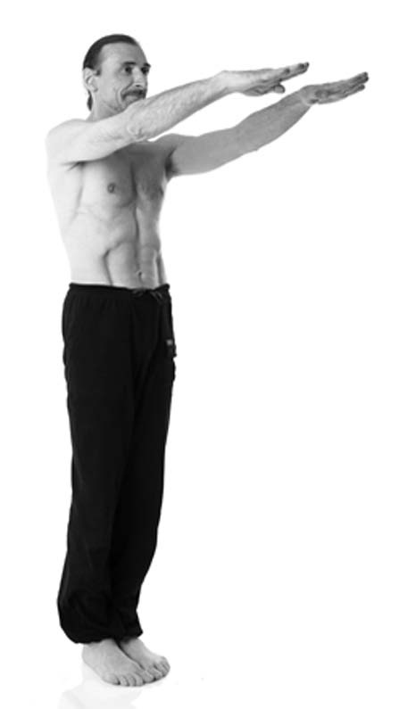 Иллюстрация к книге — Йога. Лучшие упражнения для каждого лунного дня. Сила Луны для здоровья и удачи [i_336.jpg]