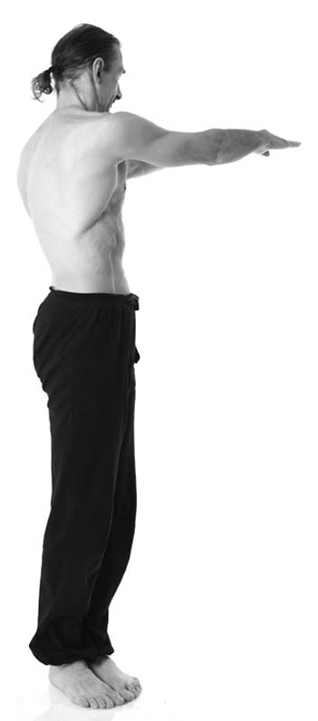 Иллюстрация к книге — Йога. Лучшие упражнения для каждого лунного дня. Сила Луны для здоровья и удачи [i_338.jpg]