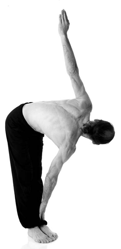 Иллюстрация к книге — Йога. Лучшие упражнения для каждого лунного дня. Сила Луны для здоровья и удачи [i_340.jpg]