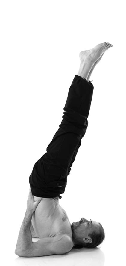 Иллюстрация к книге — Йога. Лучшие упражнения для каждого лунного дня. Сила Луны для здоровья и удачи [i_350.jpg]