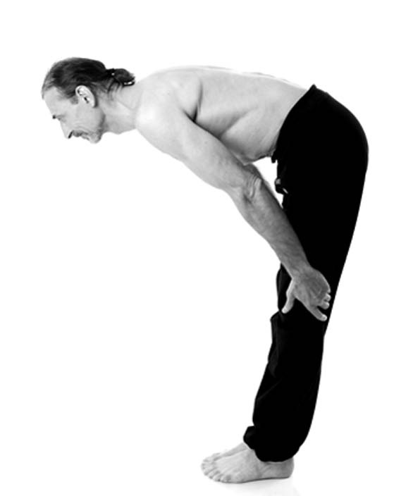 Иллюстрация к книге — Йога. Лучшие упражнения для каждого лунного дня. Сила Луны для здоровья и удачи [i_361.jpg]