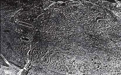 Иллюстрация к книге — Морские тайны древних славян [i_074.jpg]