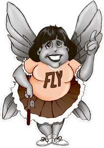 Иллюстрация к книге — Школа Флайледи. Как навести порядок в доме и в жизни [i_021.jpg]