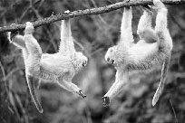 Иллюстрация к книге — Гармоничное развитие вашего ребенка [i_022.jpg]