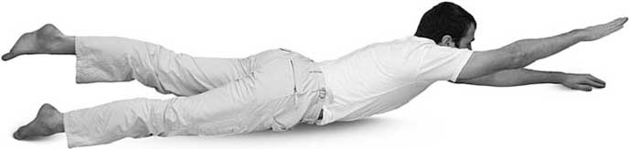 Иллюстрация к книге — Йога для позвоночника и суставов [i_004.jpg]