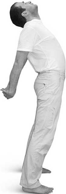 Иллюстрация к книге — Йога для позвоночника и суставов [i_048.jpg]