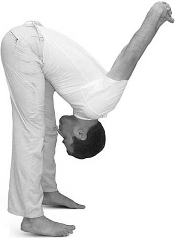 Иллюстрация к книге — Йога для позвоночника и суставов [i_049.jpg]