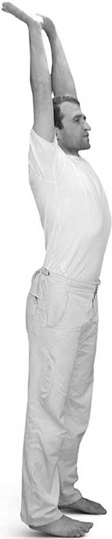 Иллюстрация к книге — Йога для позвоночника и суставов [i_050.jpg]