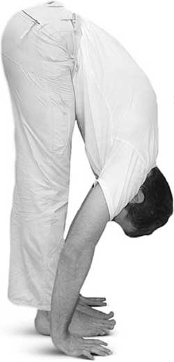 Иллюстрация к книге — Йога для позвоночника и суставов [i_052.jpg]