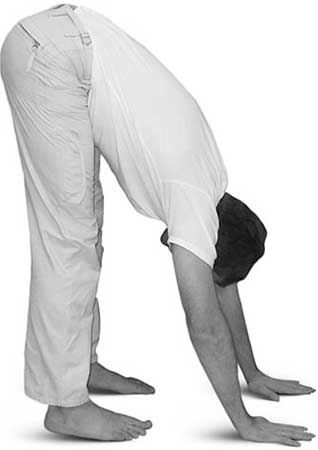 Иллюстрация к книге — Йога для позвоночника и суставов [i_053.jpg]